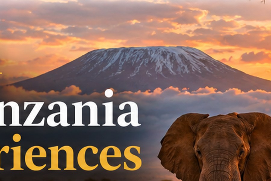 4 Days Tanzania Northern Circuit